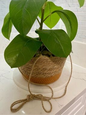 Woven Hanging Planter Basket with Mustard Accent